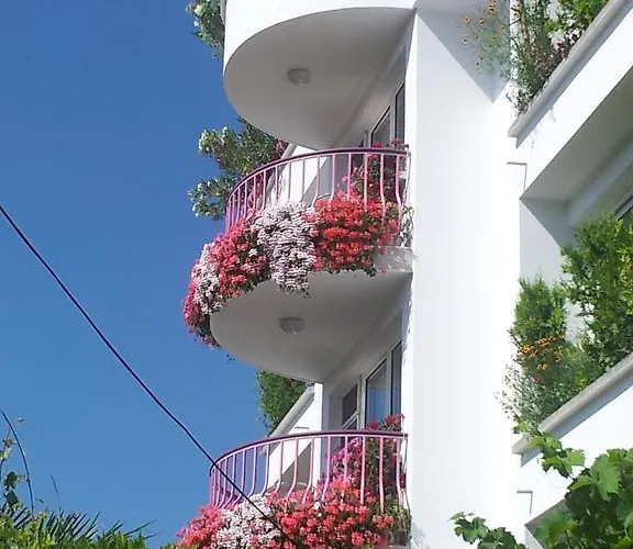 Pensjonat Jana Gmina Pomorie